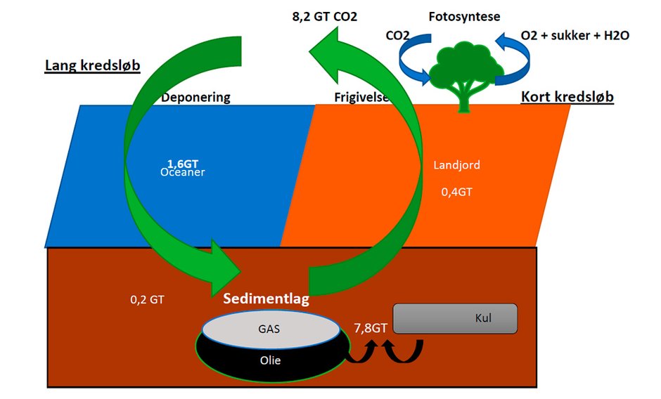 Visualisering af Fotosyntesen ift. brug af BioSphagnum